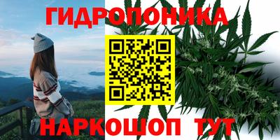 винт Краснодар